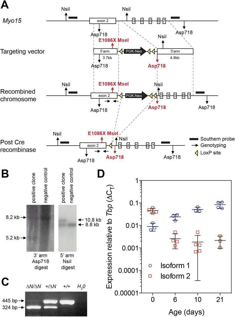 Figure 1—figure supplement 1.