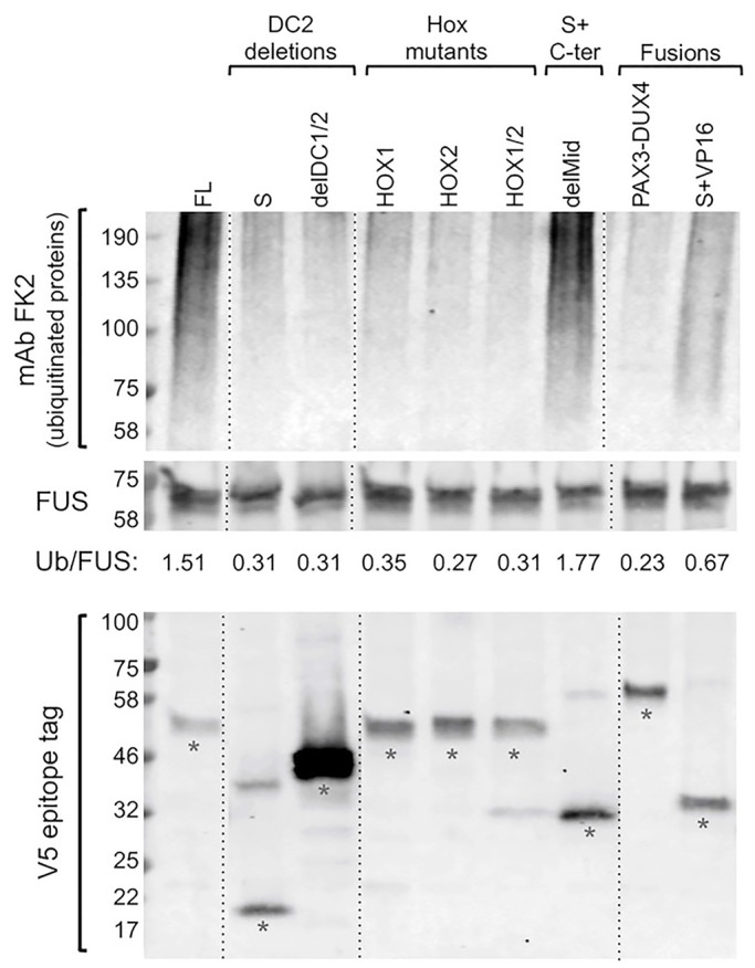 Fig. 7.