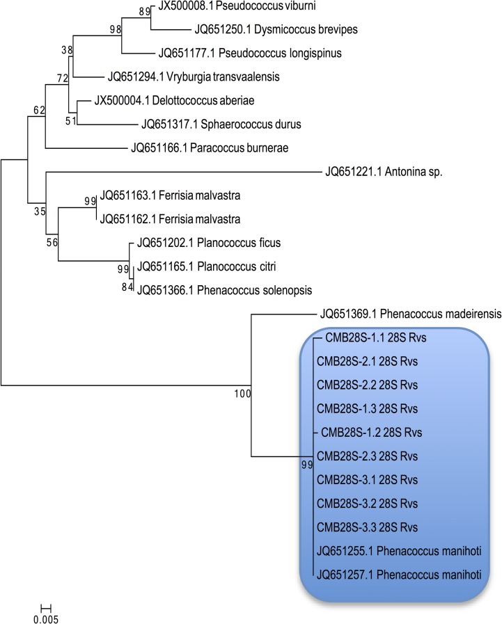 Fig 2