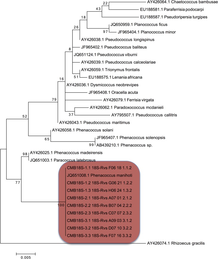 Fig 1