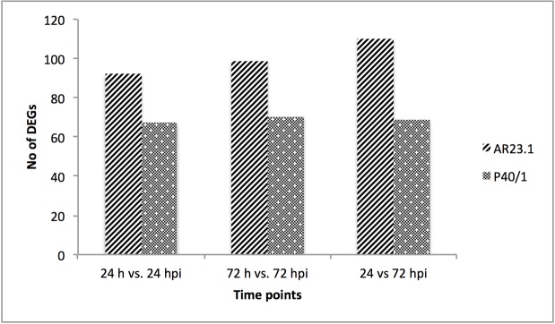 Fig 5