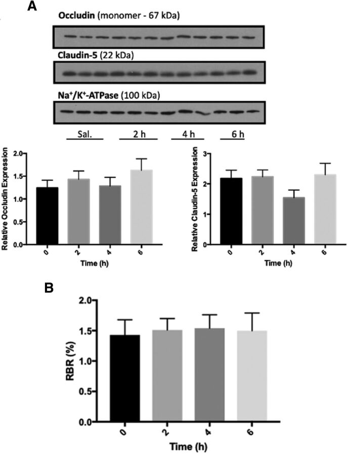 Fig. 12.