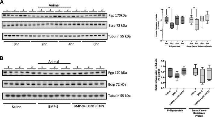 Fig. 9.