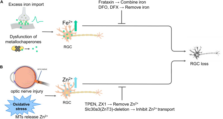 FIGURE 2