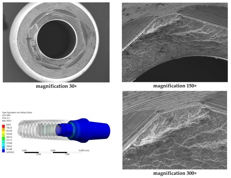 Figure 10