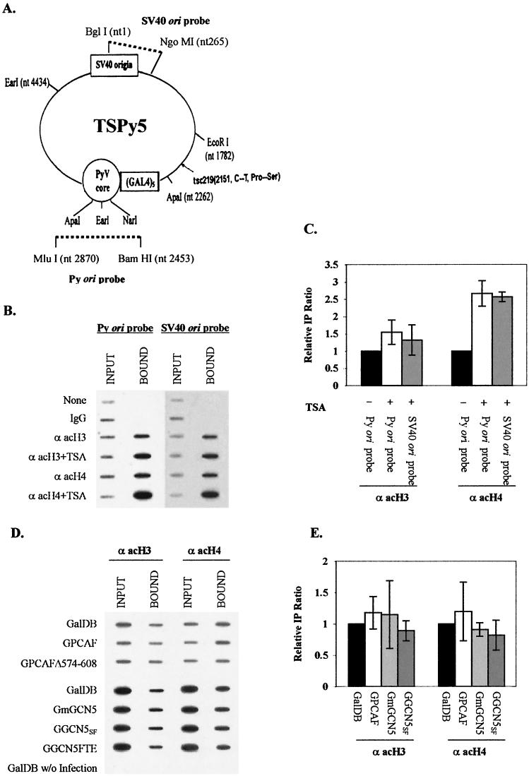 FIG.6.