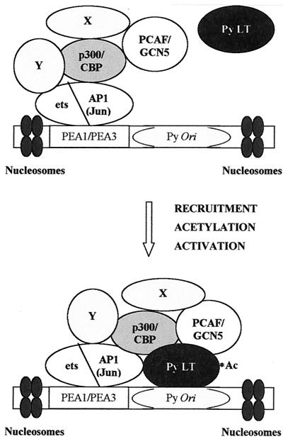 FIG. 7.