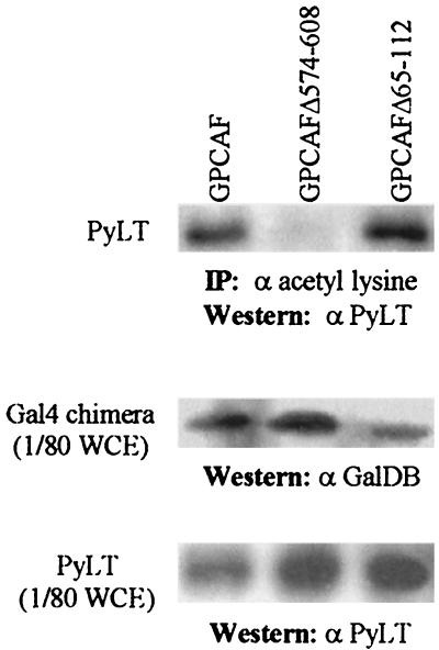 FIG. 5.