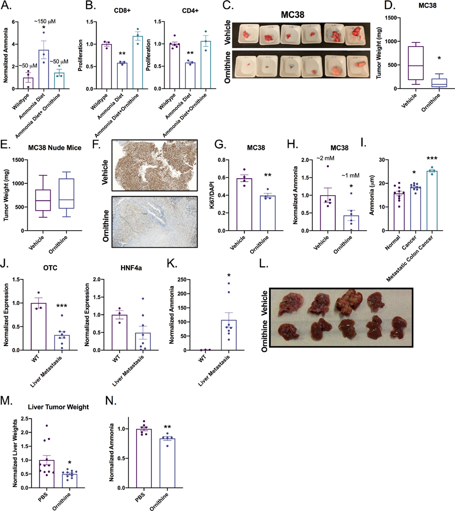 Figure 6: