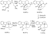 Scheme 3