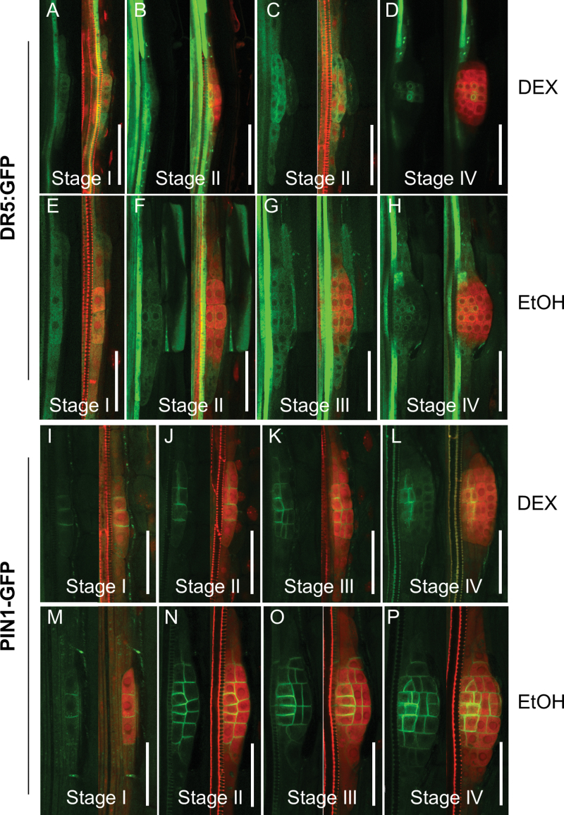 Fig. 4.