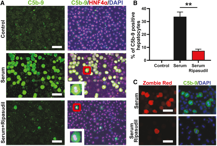 Figure 4