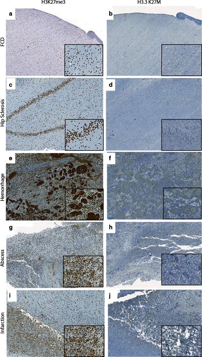 Fig. 6