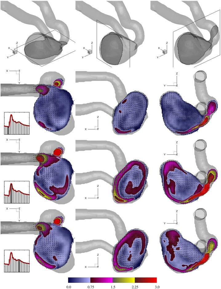 Fig 6