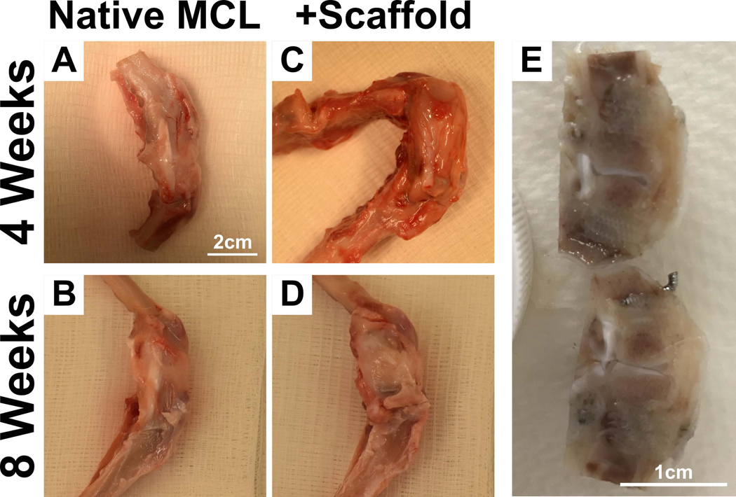 Figure 3: