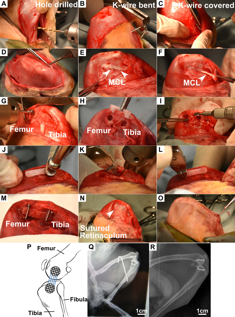 Figure 2: