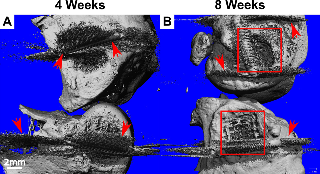 Figure 4: