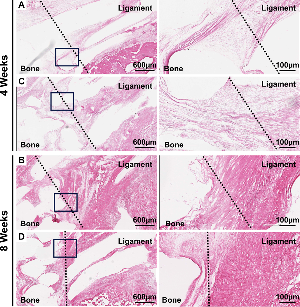 Figure 7: