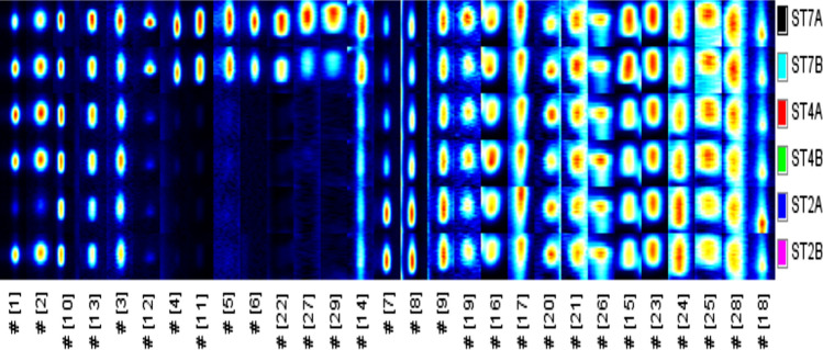 Fig. 2