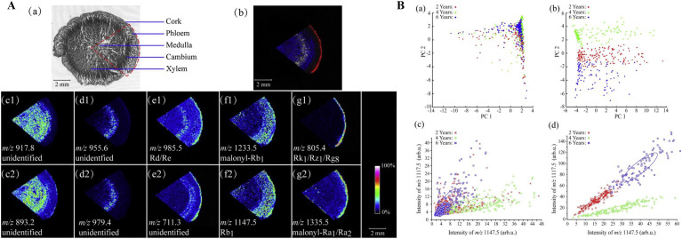 Fig. 3