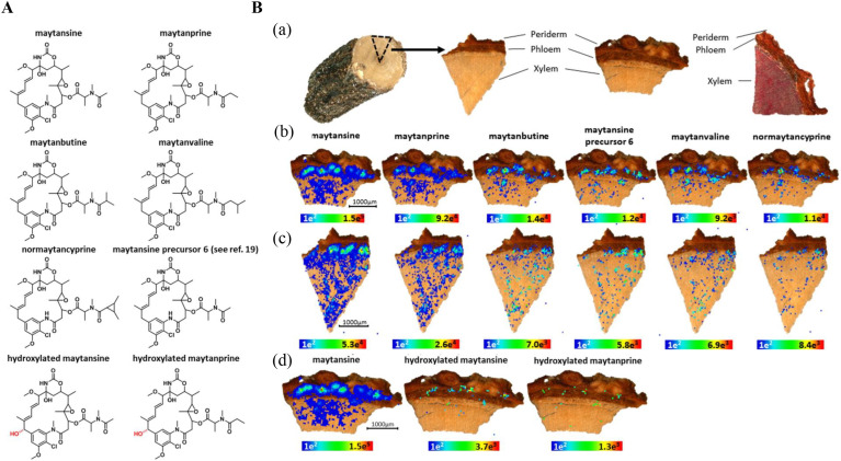 Fig. 2