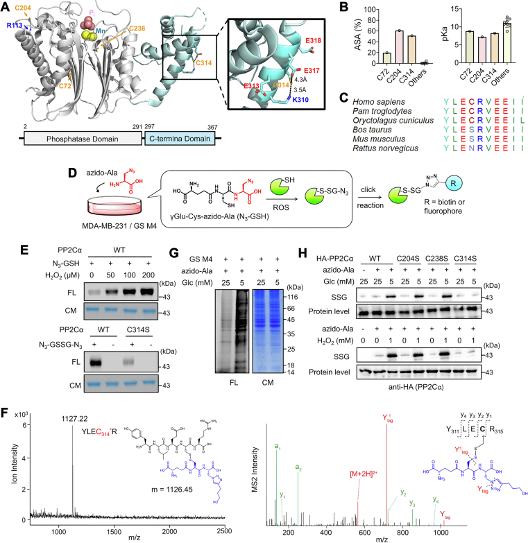 Figure 2