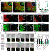 Fig. 4: