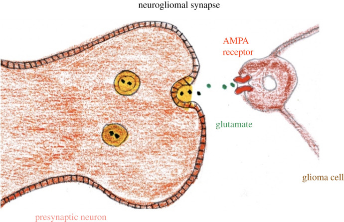 Figure 12. 