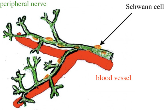 Figure 10. 