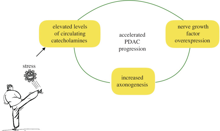 Figure 11. 