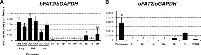 Fig 5