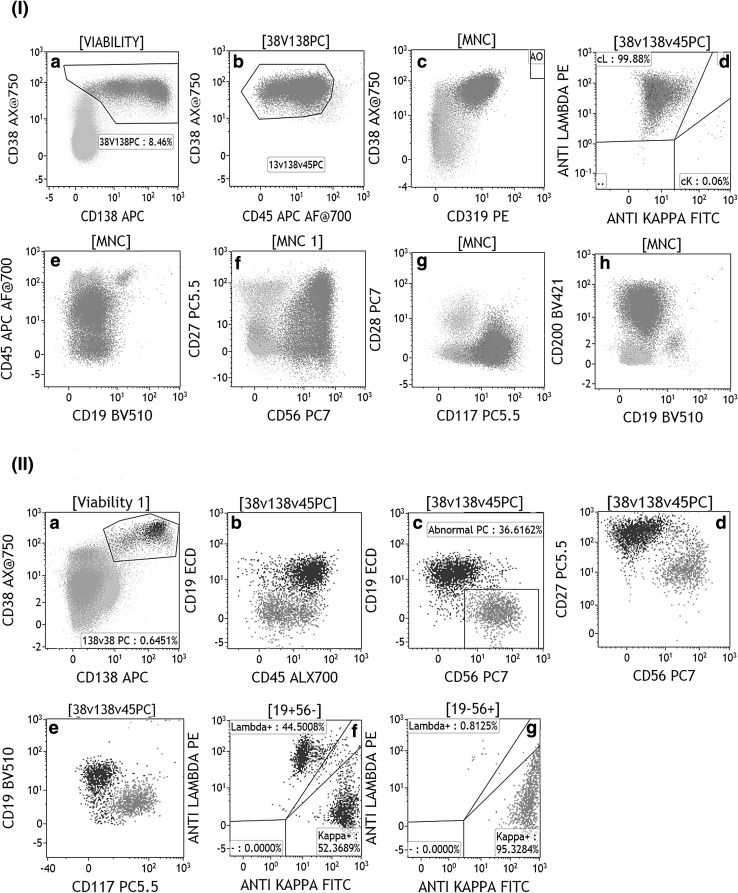 Fig. 1