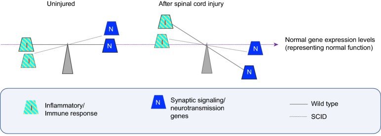 Figure 7