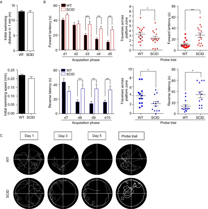 Figure 6