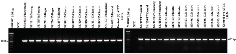 Figure 6.