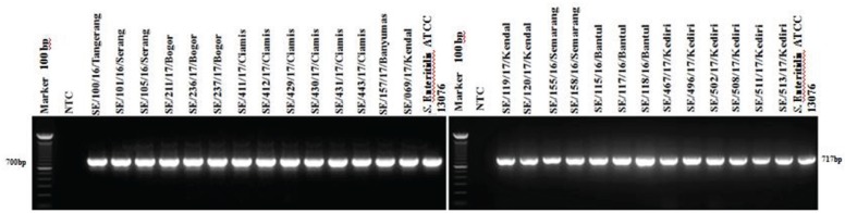 Figure 9.