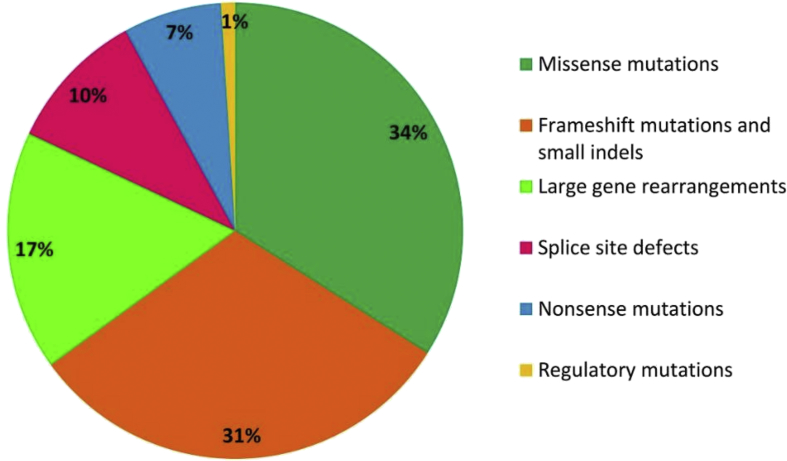 Figure 3