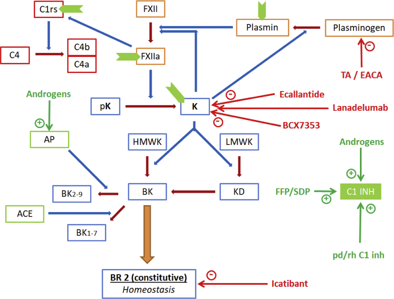 Figure 6