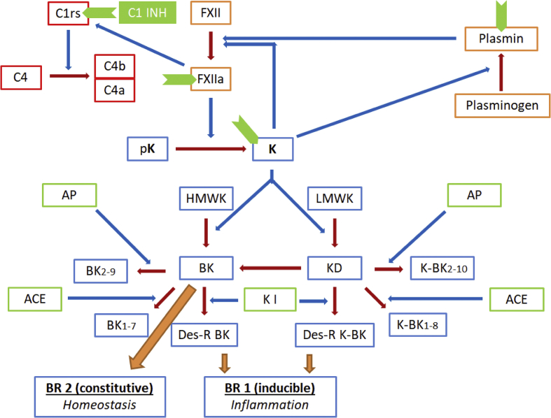 Figure 1