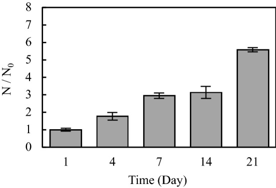 Figure 6