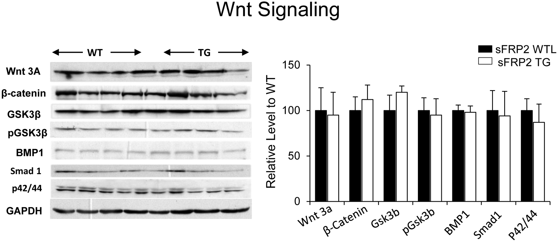 Figure 7: