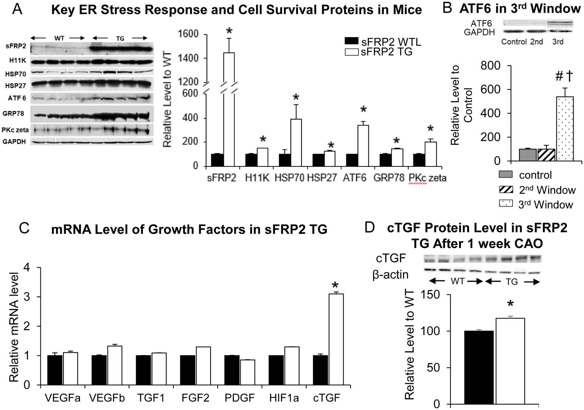 Figure 4: