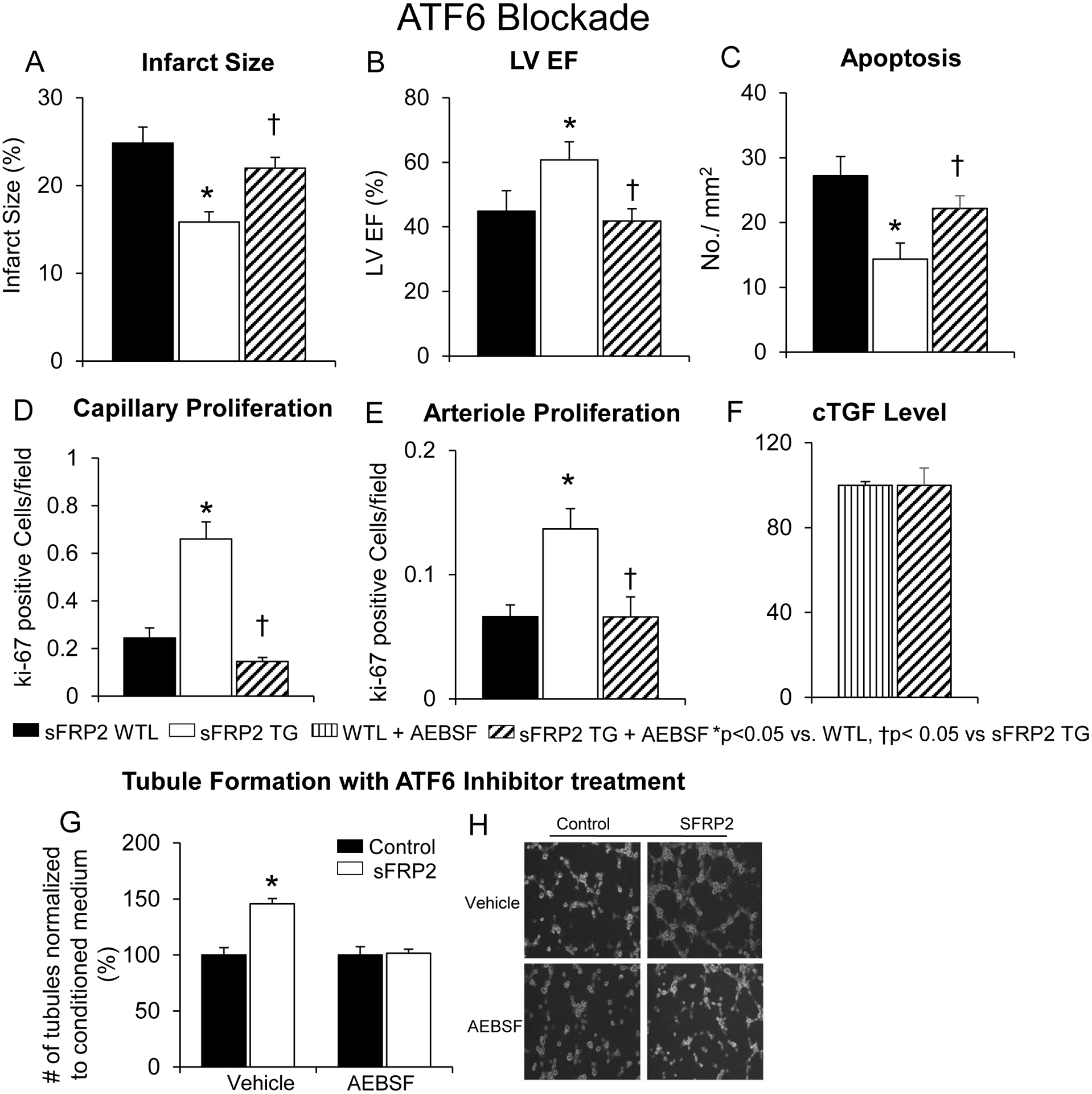 Figure 6: