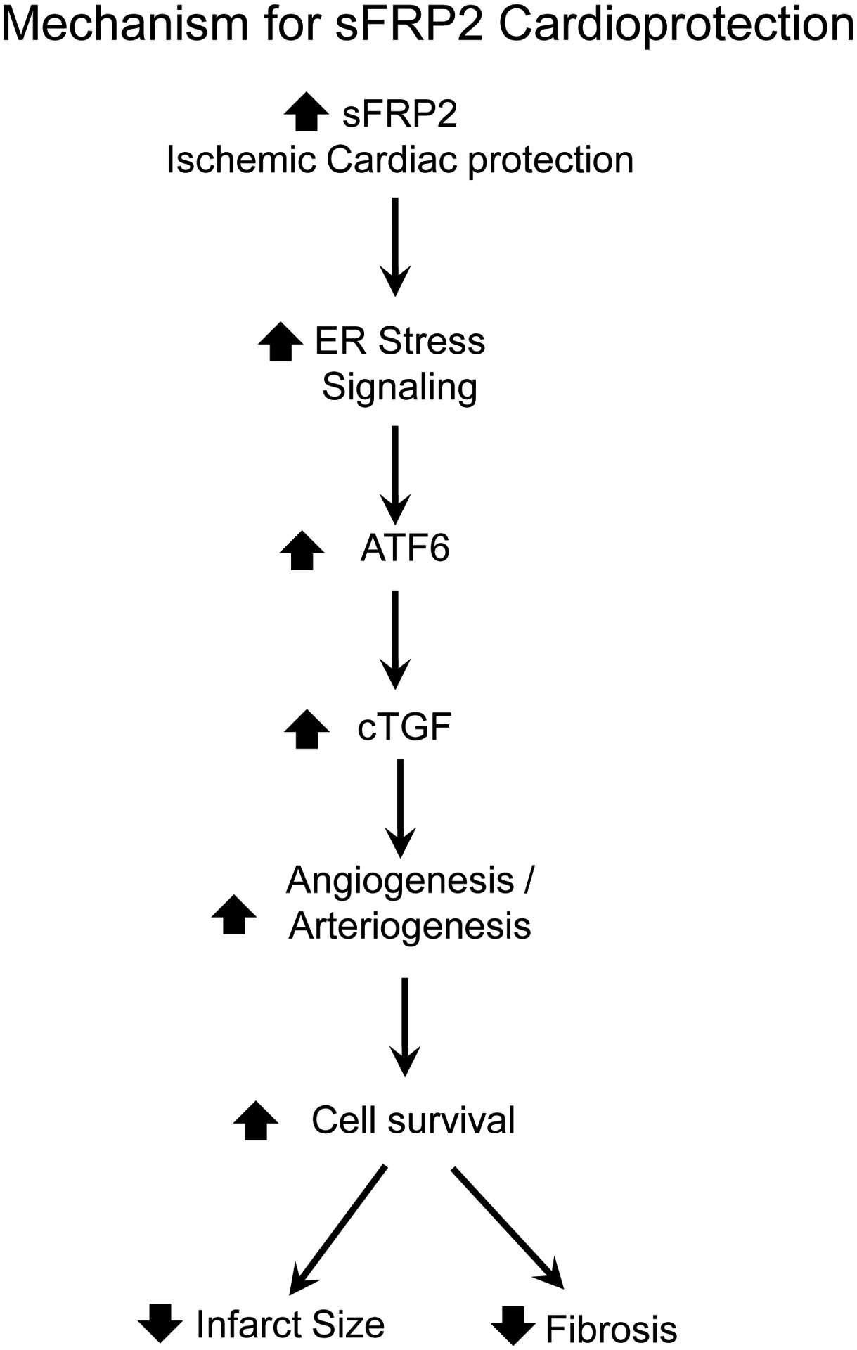 Figure 8: