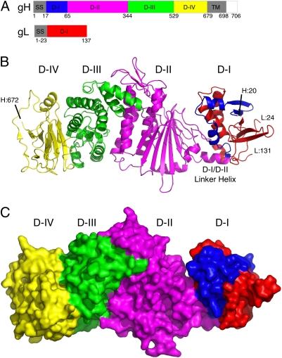 Fig. 1.