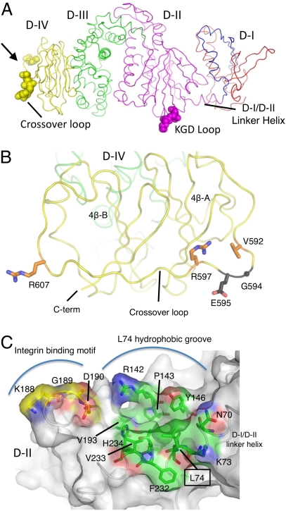 Fig. 4.