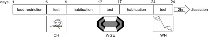 Figure 3.