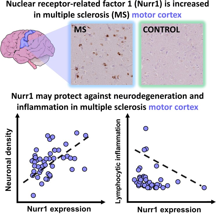 Graphical Abstract