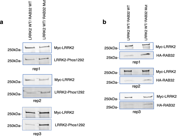 Extended Data Fig. 9