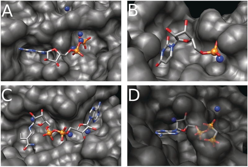 Figure 5.